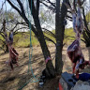 Meet your Posher, Stevan